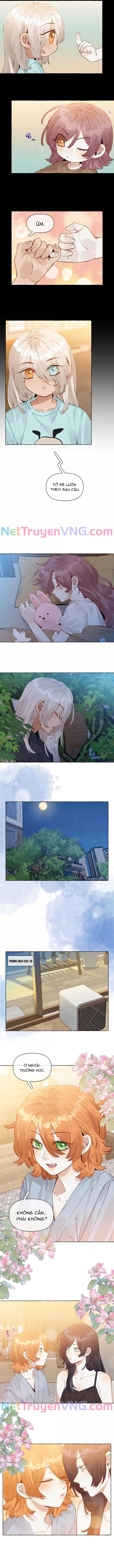 Những Lời Nói Dối Của Hồ Ly: Chapter 24