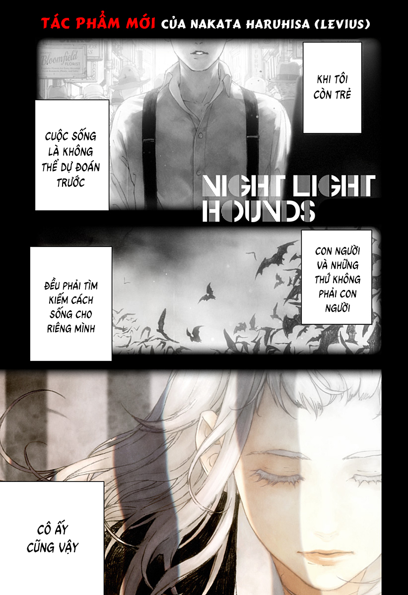Night Light Hounds: Chapter 1