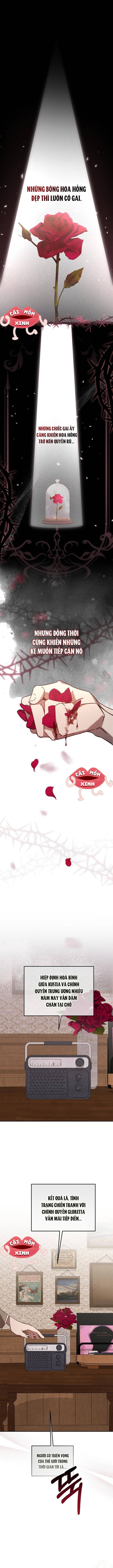 Nơi Đóa Hồng Vàng Úa Tàn: Chapter 0