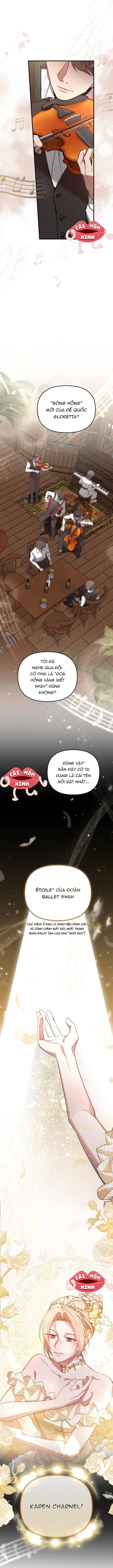 Nơi Đóa Hồng Vàng Úa Tàn: Chapter 0