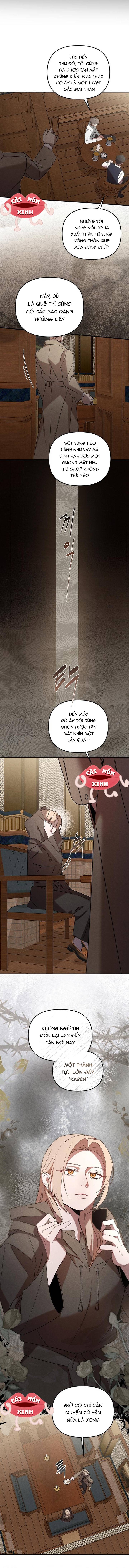 Nơi Đóa Hồng Vàng Úa Tàn: Chapter 0