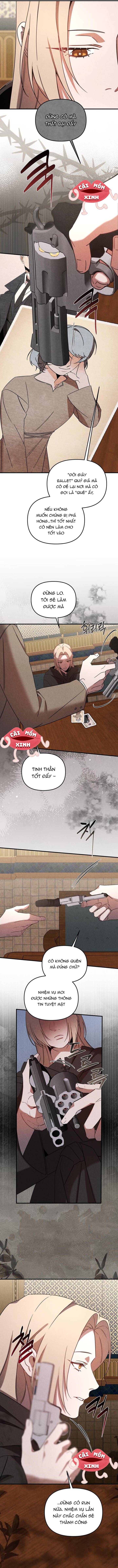 Nơi Đóa Hồng Vàng Úa Tàn: Chapter 0