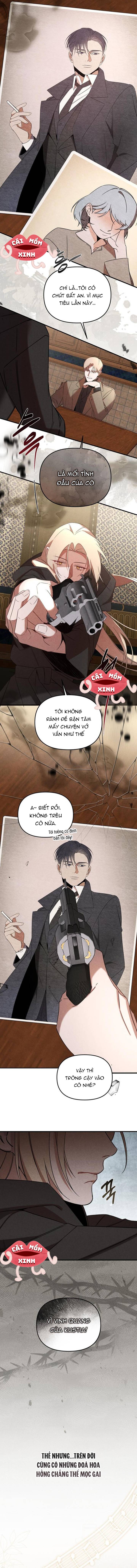 Nơi Đóa Hồng Vàng Úa Tàn: Chapter 0