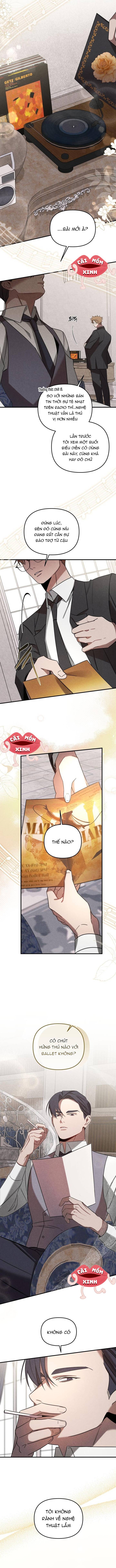 Nơi Đóa Hồng Vàng Úa Tàn: Chapter 0