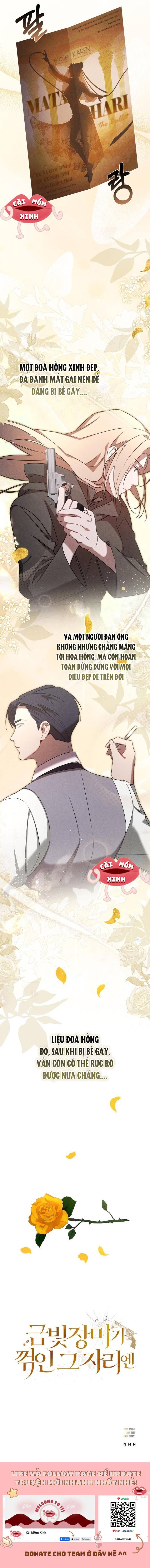 Nơi Đóa Hồng Vàng Úa Tàn: Chapter 0
