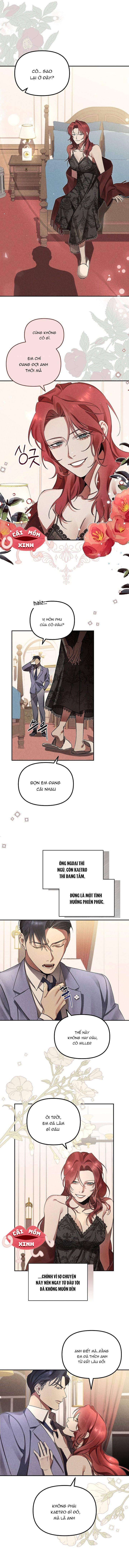 Nơi Đóa Hồng Vàng Úa Tàn: Chapter 2