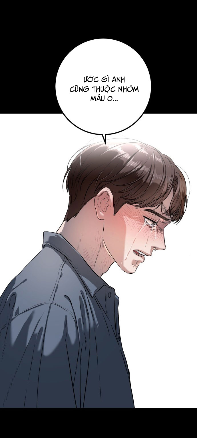 Nóng Lòng Muốn Giày Vò Em: Chapter 1