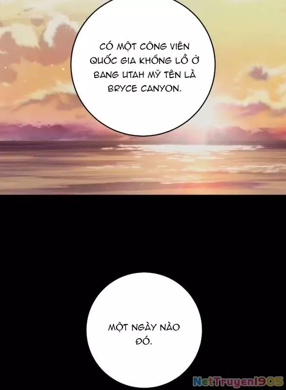 Nóng Lòng Muốn Giày Vò Em: Chapter 101.2