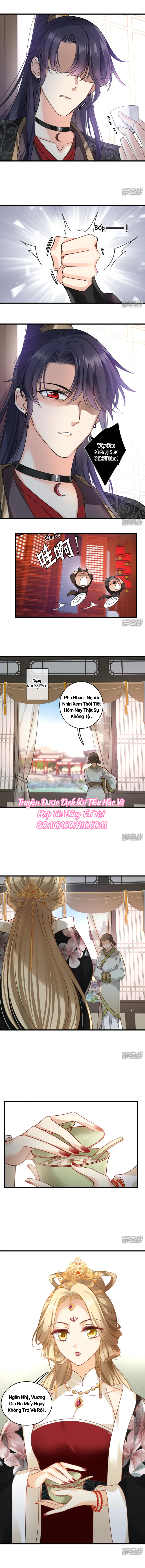 Nụ Cười Của Nàng Ngọt Làm Gãy 8 Cái Răng Của Ta: Chapter 11