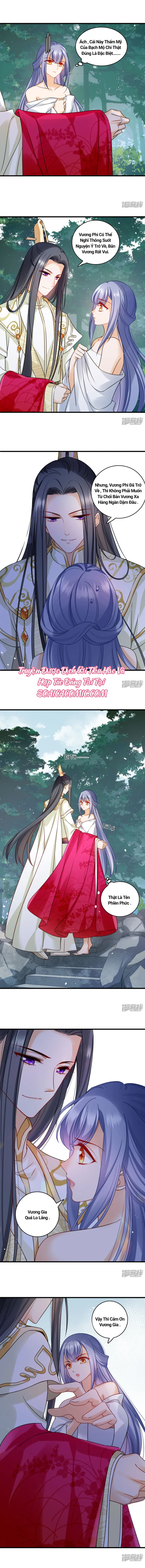 Nụ Cười Của Nàng Ngọt Làm Gãy 8 Cái Răng Của Ta: Chapter 13