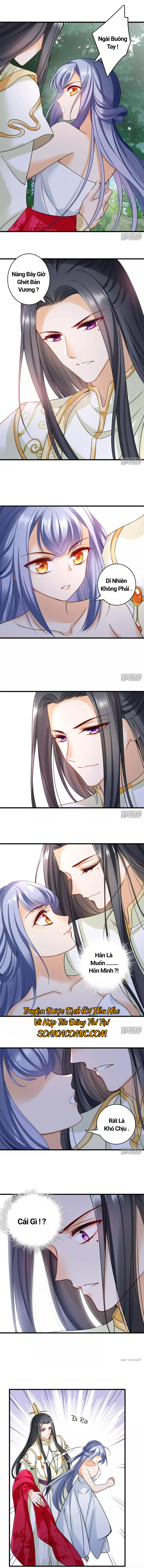 Nụ Cười Của Nàng Ngọt Làm Gãy 8 Cái Răng Của Ta: Chapter 14