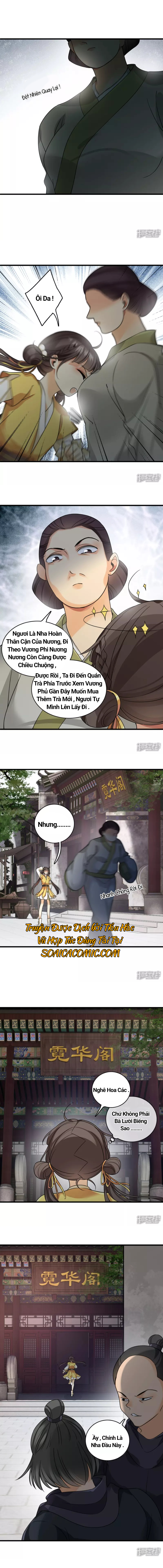 Nụ Cười Của Nàng Ngọt Làm Gãy 8 Cái Răng Của Ta: Chapter 16