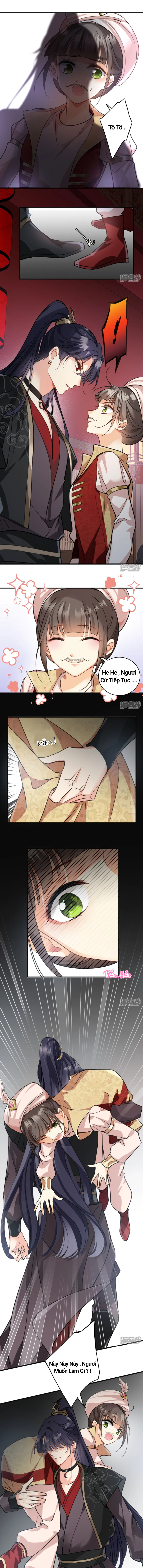 Nụ Cười Của Nàng Ngọt Làm Gãy 8 Cái Răng Của Ta: Chapter 4