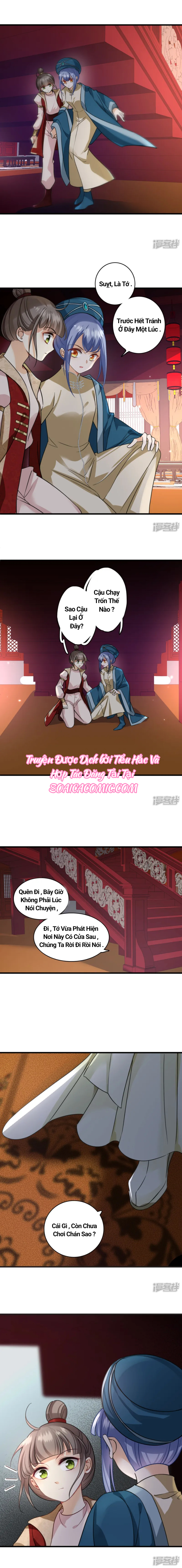 Nụ Cười Của Nàng Ngọt Làm Gãy 8 Cái Răng Của Ta: Chapter 7