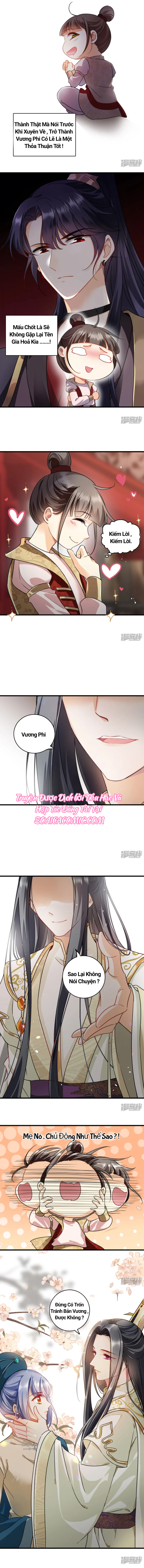 Nụ Cười Của Nàng Ngọt Làm Gãy 8 Cái Răng Của Ta: Chapter 8