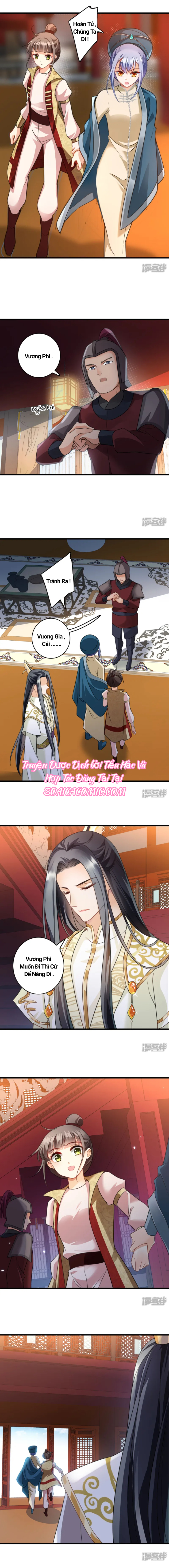 Nụ Cười Của Nàng Ngọt Làm Gãy 8 Cái Răng Của Ta: Chapter 8