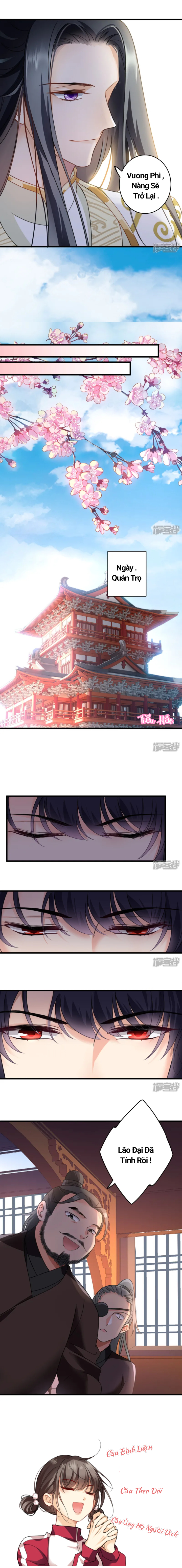 Nụ Cười Của Nàng Ngọt Làm Gãy 8 Cái Răng Của Ta: Chapter 8