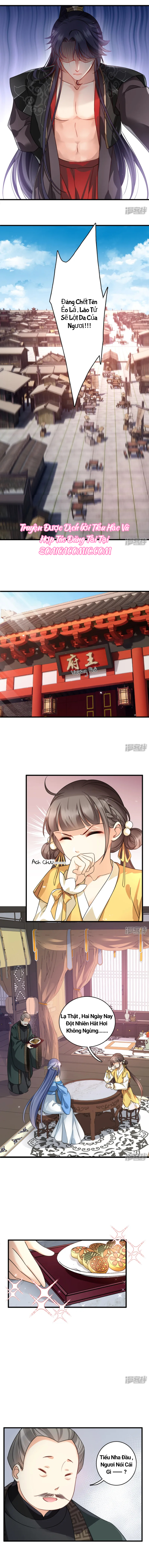 Nụ Cười Của Nàng Ngọt Làm Gãy 8 Cái Răng Của Ta: Chapter 9