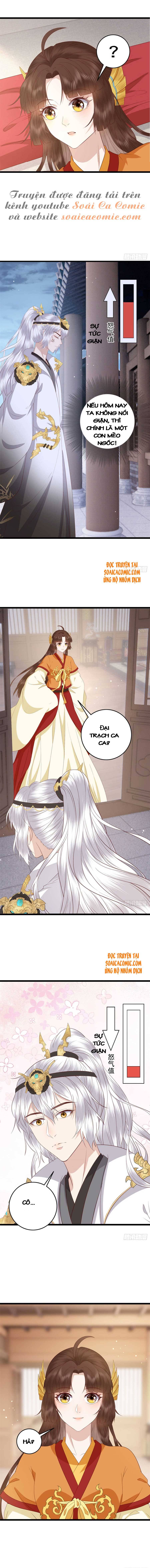 Nữ Xứng Này Không Dễ Trêu Chọc: Chapter 12
