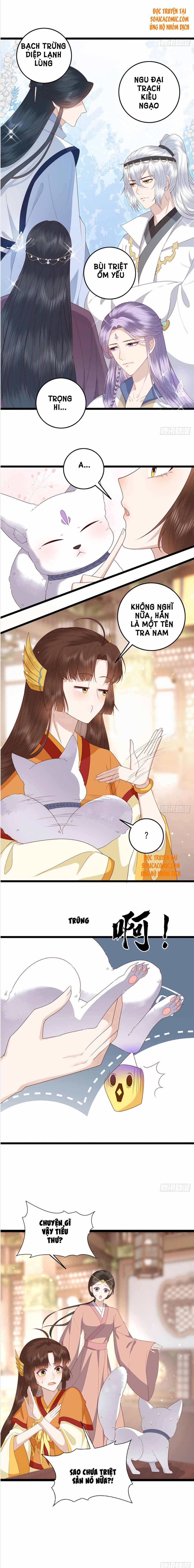 Nữ Xứng Này Không Dễ Trêu Chọc: Chapter 14