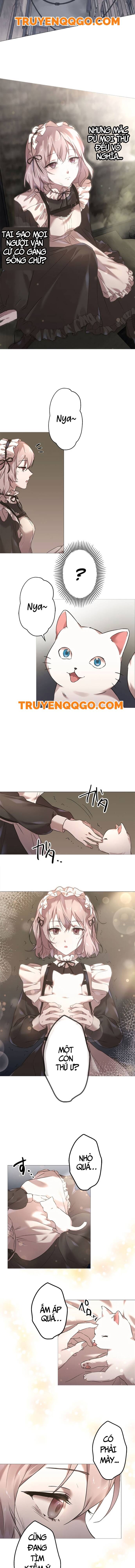 Nước Mắt Thần Chết: Chapter 1