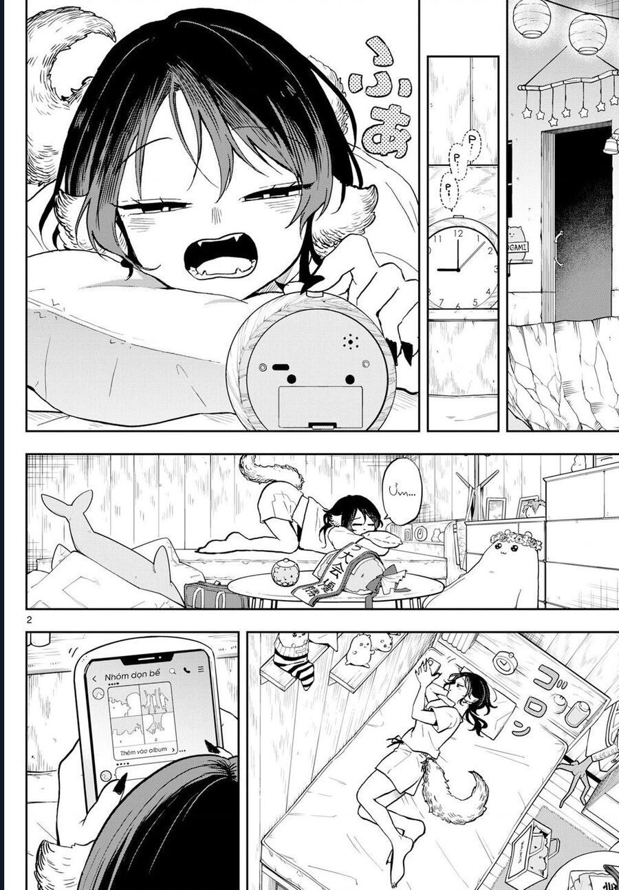 Ogami Tsumiki Và Cuộc Sống Diệu Kì!: Chapter 34