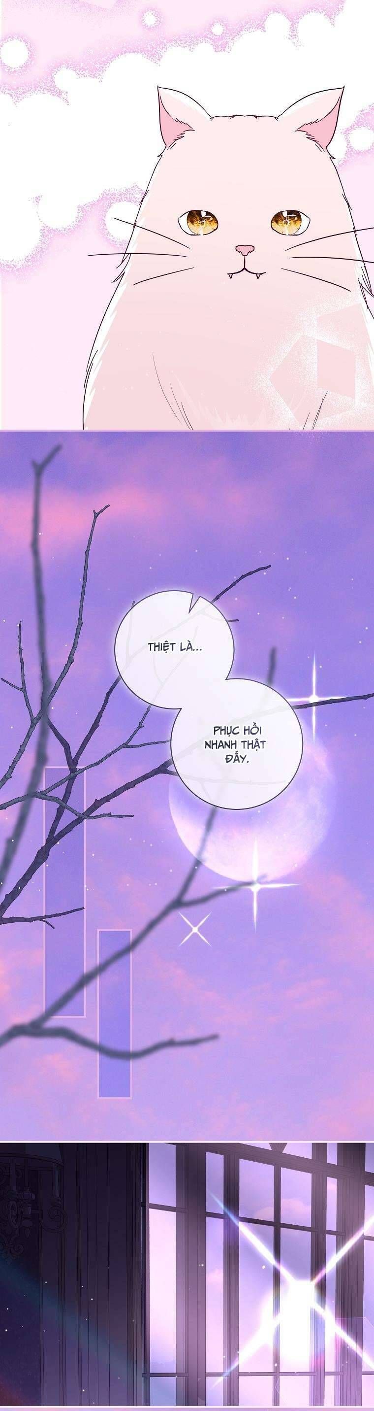 Phản Diện À, Tôi Sẽ Làm Mọi Thứ Cho Anh Trừ Kết Hôn Nhé!: Chapter 36