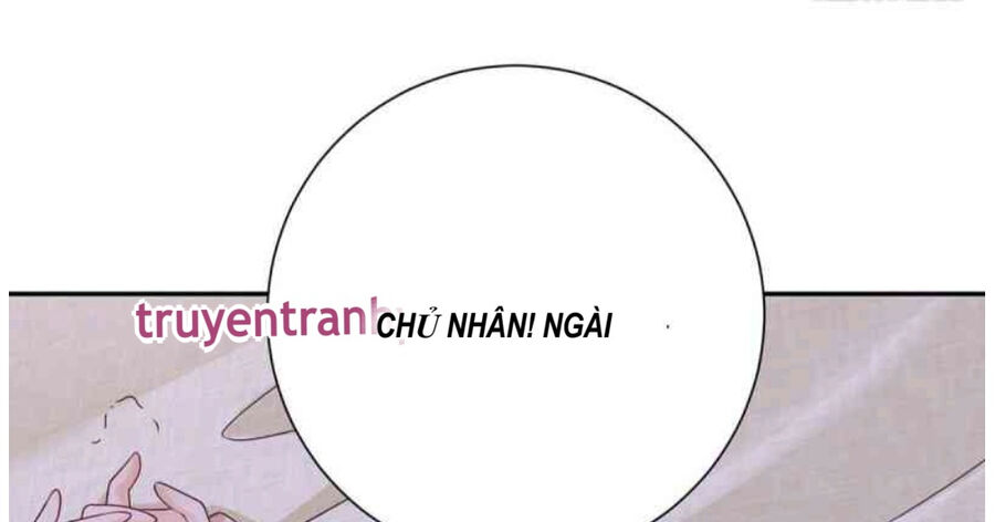 Phán Mại Cấp Vương Tử: Chapter 1