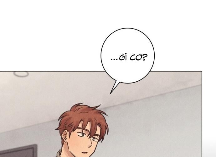 Phỏng Vấn Sát Nhân: Chapter 72