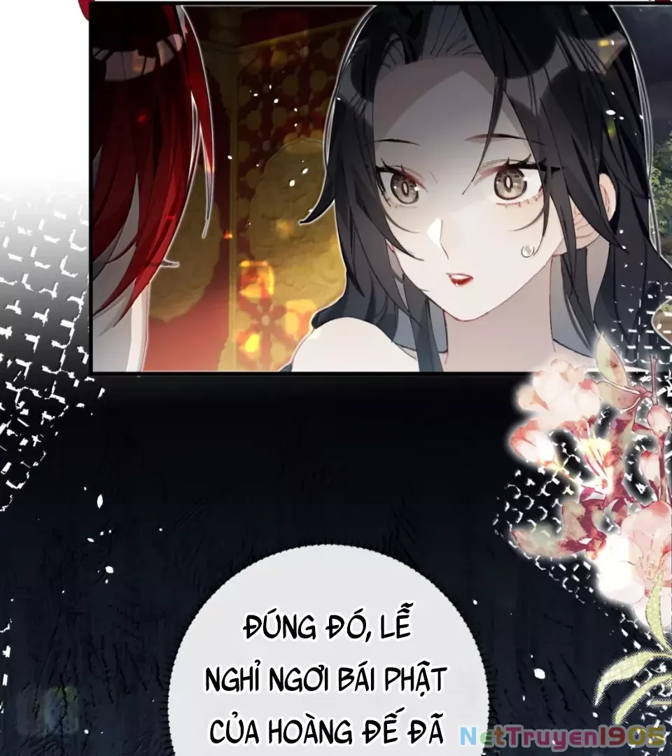 Quấn Quýt: Chapter 20