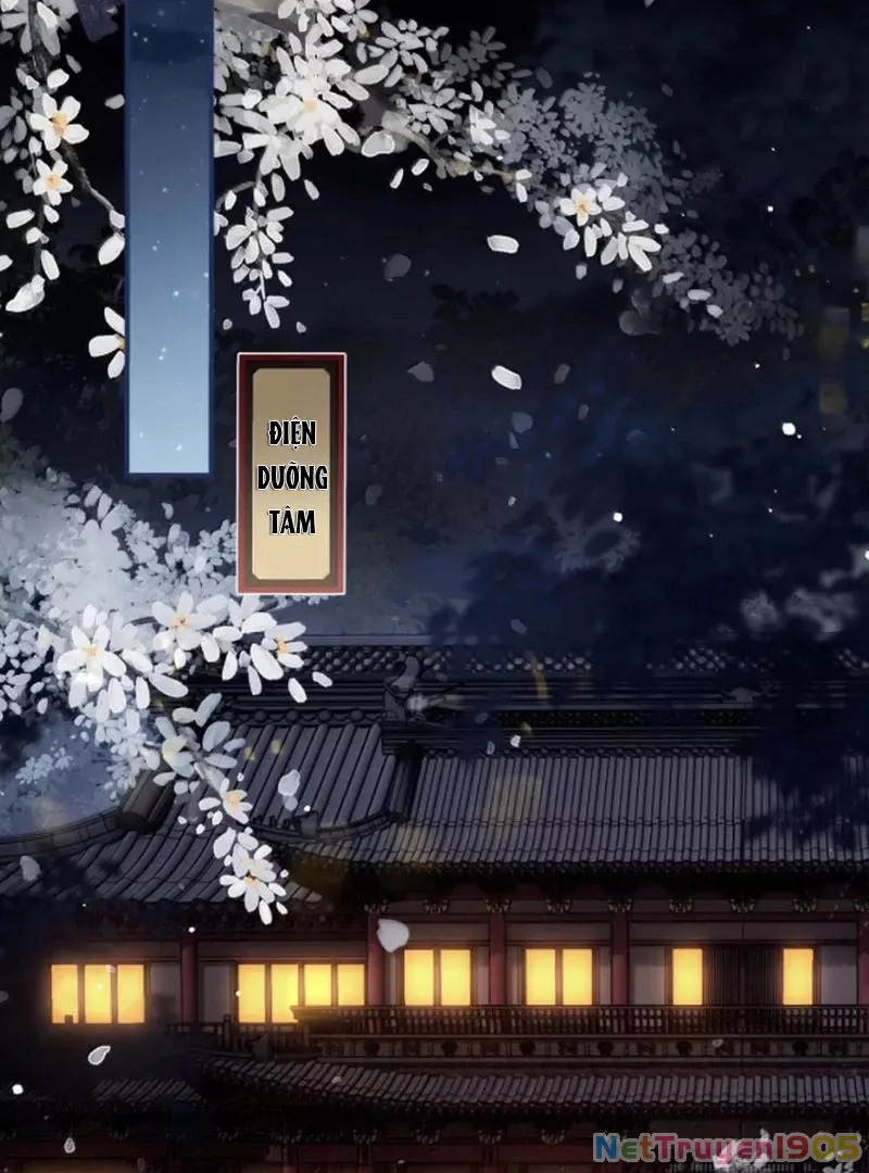 Quấn Quýt: Chapter 21