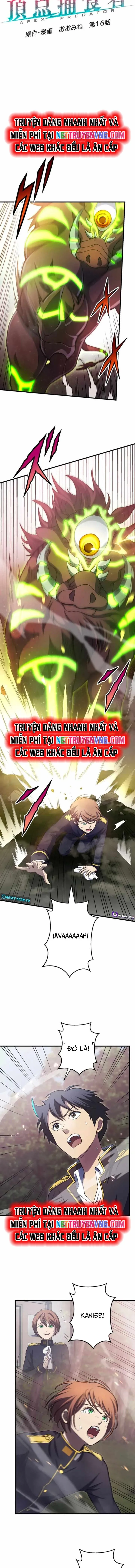 Quật Khởi Từ Tầng Đáy: Chapter 16