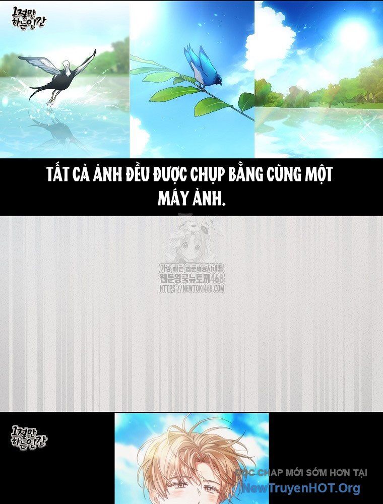 Ra Mắt Hay Ra Đi: Chapter 82