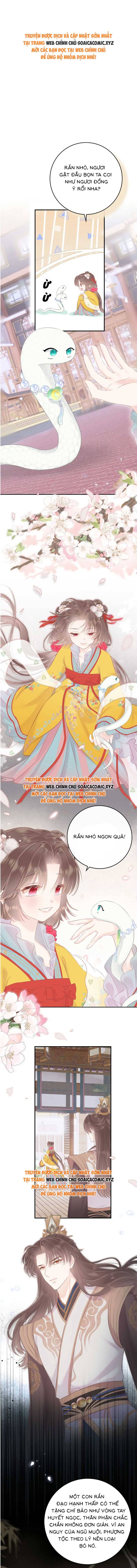 Rắn Cưng Của Ta Lại Làm Trò: Chapter 11