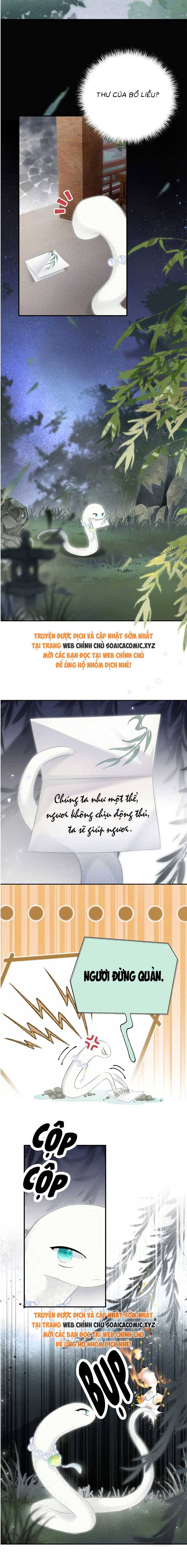 Rắn Cưng Của Ta Lại Làm Trò: Chapter 11