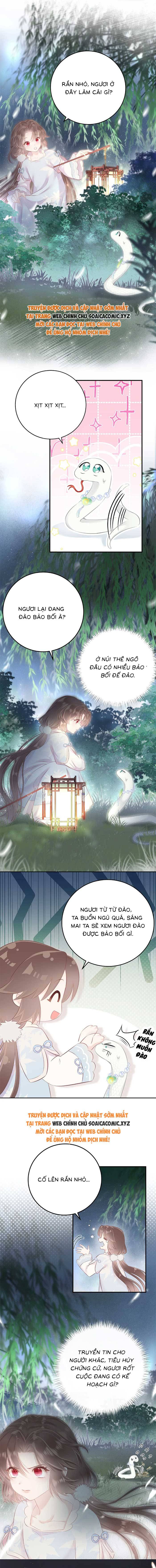 Rắn Cưng Của Ta Lại Làm Trò: Chapter 11