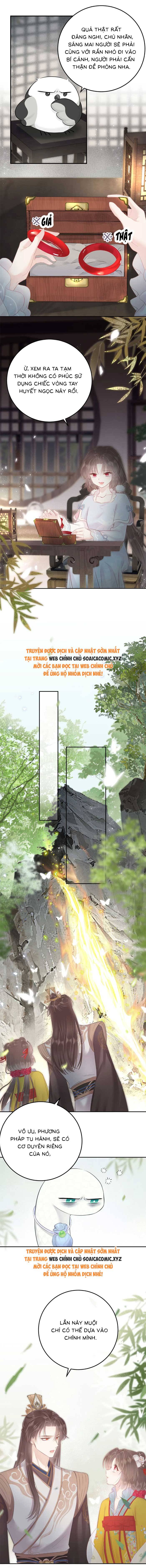 Rắn Cưng Của Ta Lại Làm Trò: Chapter 11