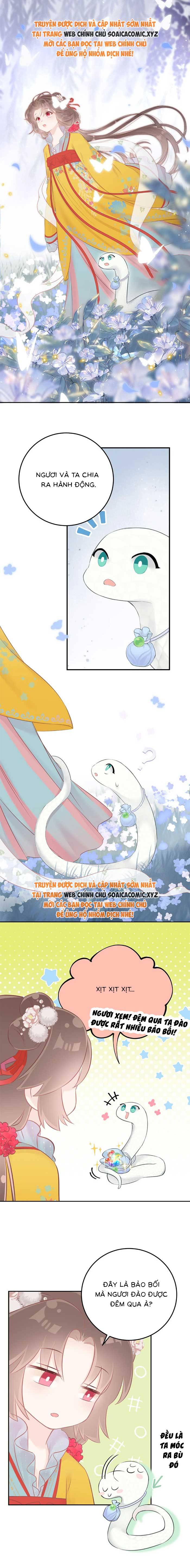 Rắn Cưng Của Ta Lại Làm Trò: Chapter 11