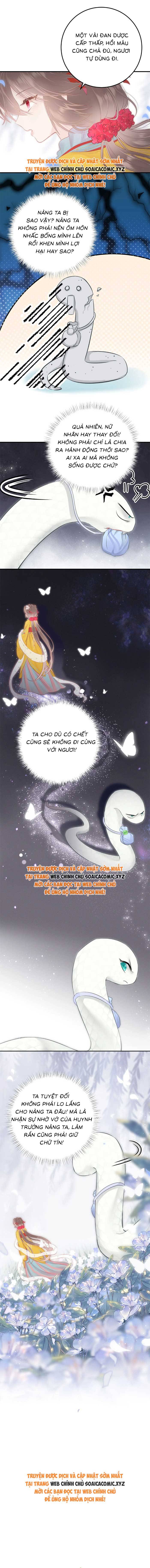 Rắn Cưng Của Ta Lại Làm Trò: Chapter 11