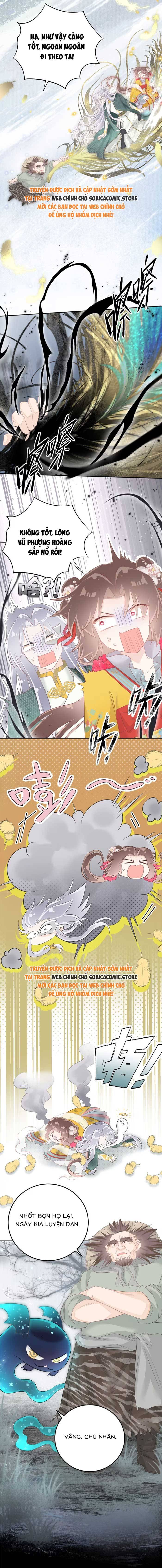 Rắn Cưng Của Ta Lại Làm Trò: Chapter 18