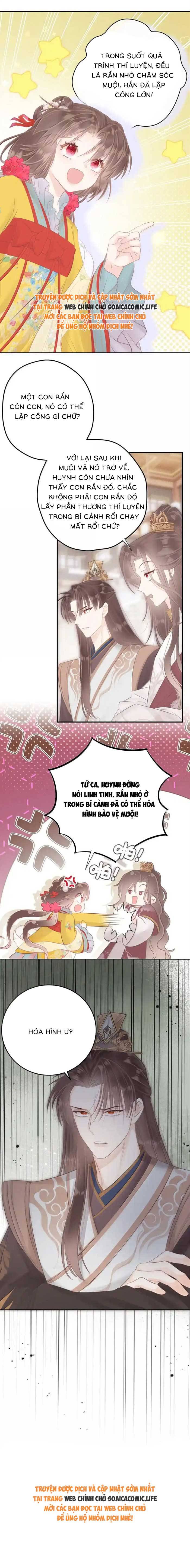 Rắn Cưng Của Ta Lại Làm Trò: Chapter 24