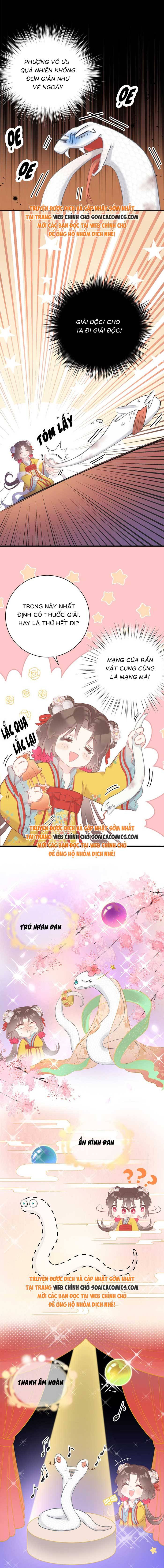 Rắn Cưng Của Ta Lại Làm Trò: Chapter 3