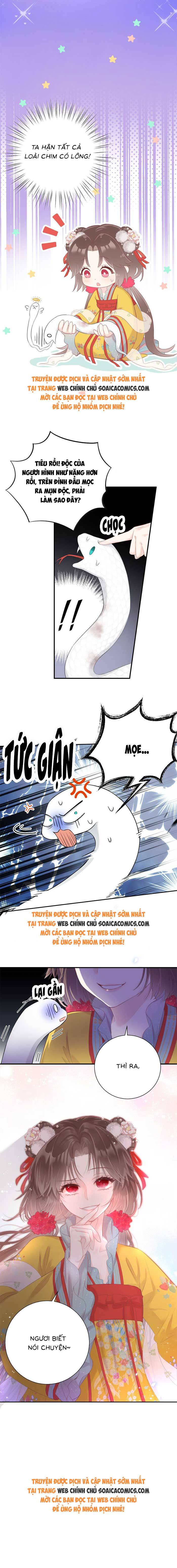 Rắn Cưng Của Ta Lại Làm Trò: Chapter 3