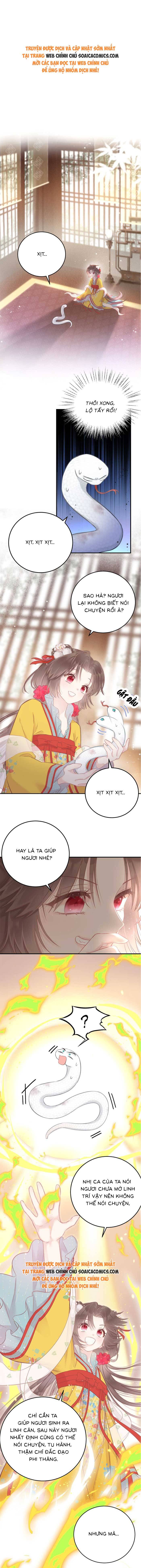 Rắn Cưng Của Ta Lại Làm Trò: Chapter 4