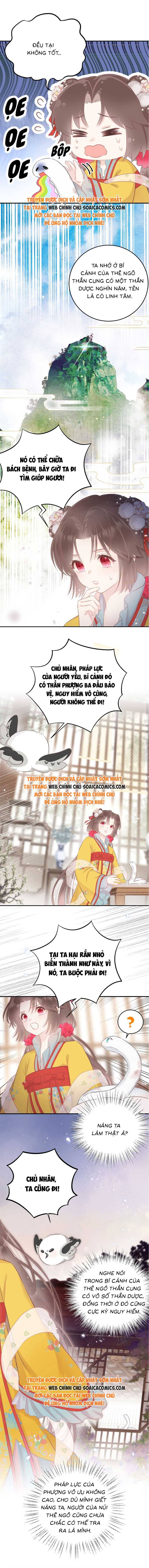 Rắn Cưng Của Ta Lại Làm Trò: Chapter 4