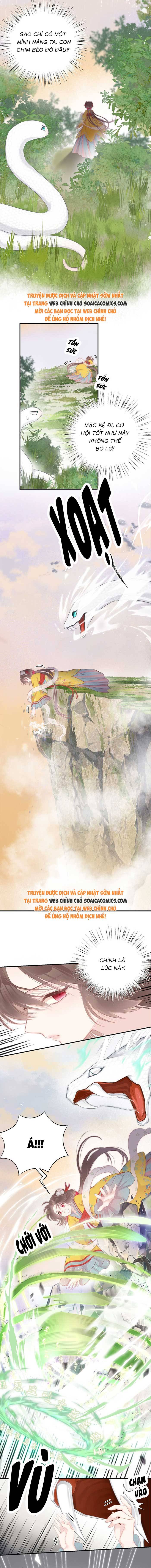 Rắn Cưng Của Ta Lại Làm Trò: Chapter 4