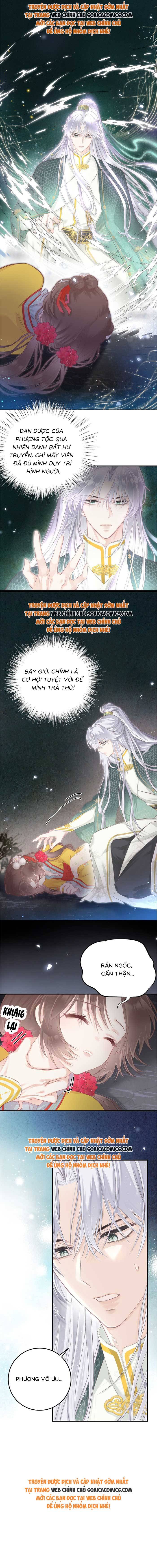 Rắn Cưng Của Ta Lại Làm Trò: Chapter 4