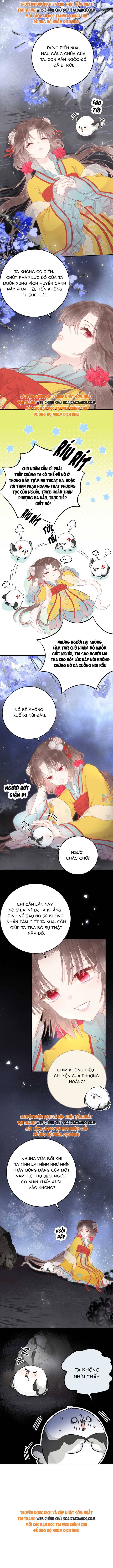 Rắn Cưng Của Ta Lại Làm Trò: Chapter 5