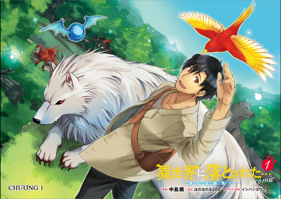 Rơi Vào Dị Giới... Tôi Chủ Yếu Đi Thanh Tẩy !: Chapter 1