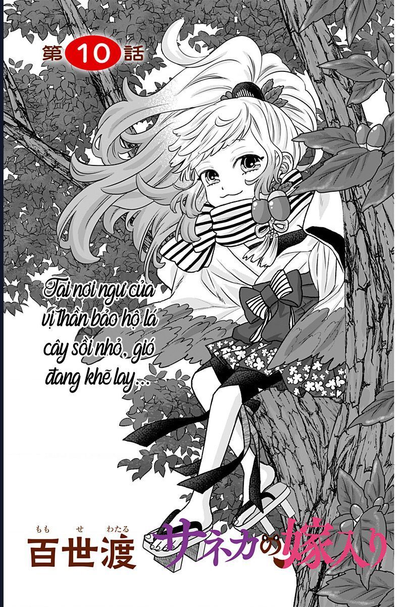 Saneka No Yomeiri: Chapter 10